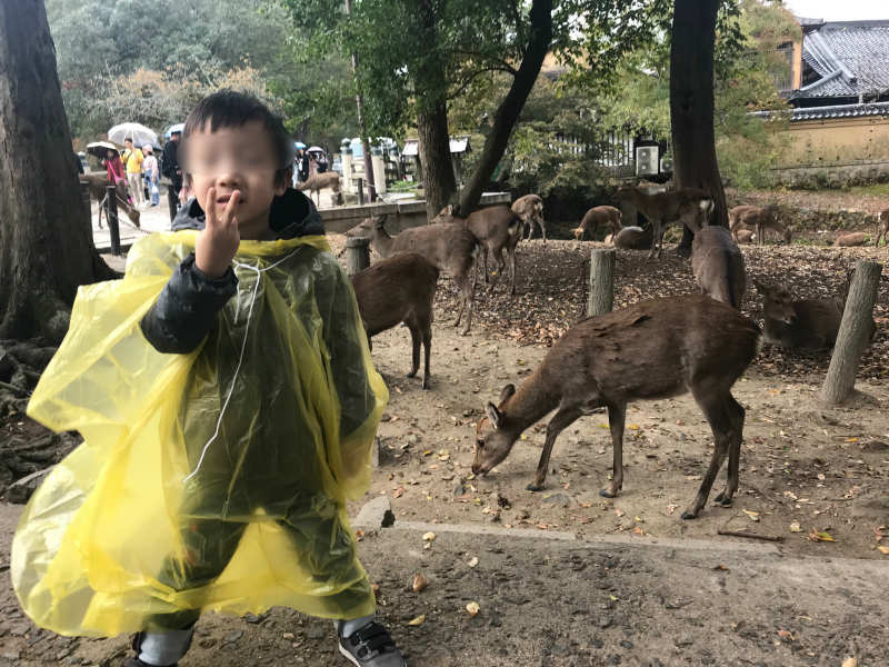 1111-Private-Tour-from-Osaka-to-Nara-Park-Deer-by-Taxi3