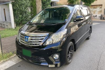 Large (Toyota Alphard)